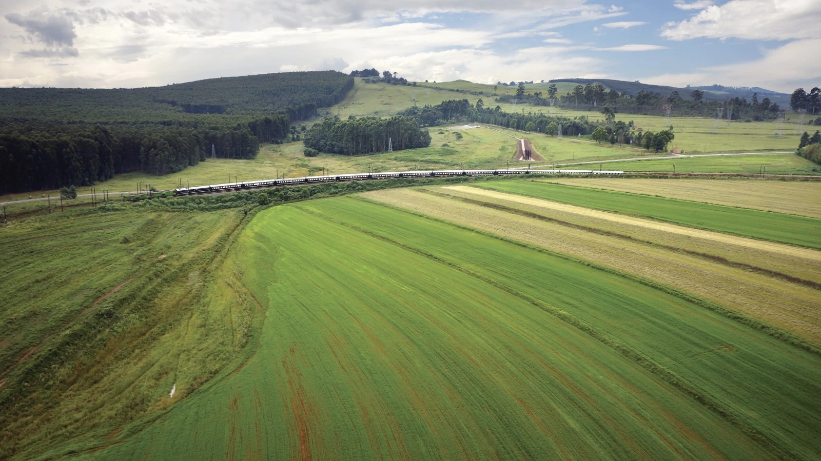 Day 1: Pretoria Begins the Safari by Rail