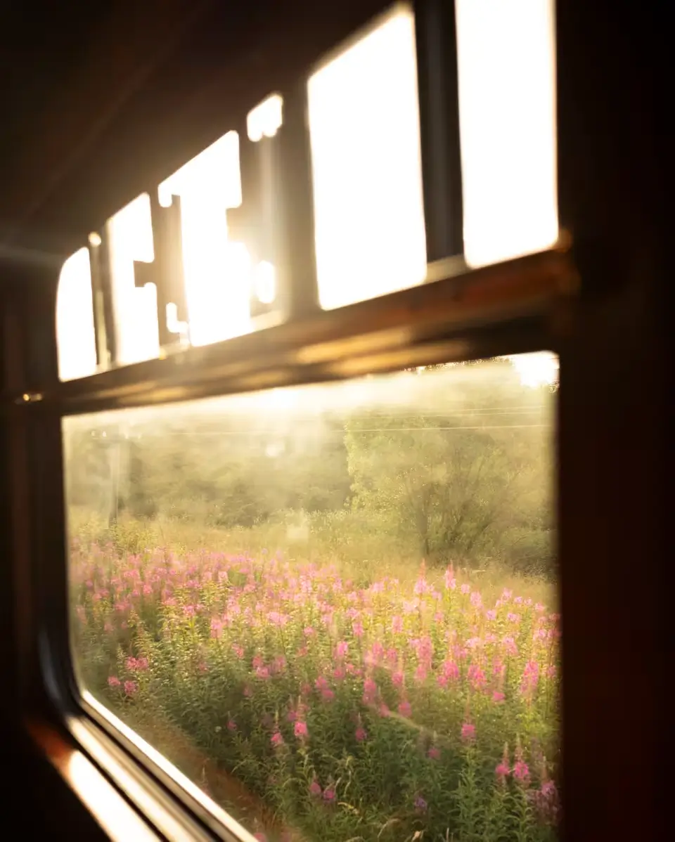 Day 4: East Somerset Railway – London Victoria